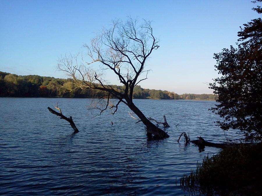 Jezioro Rusałka
