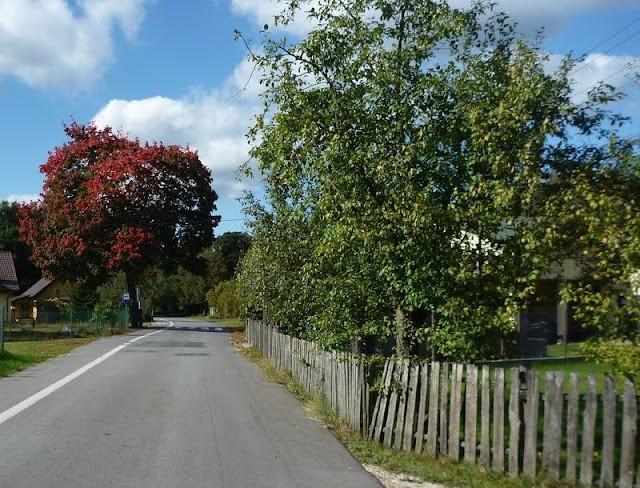 Takie fajne kolory jesieni już są