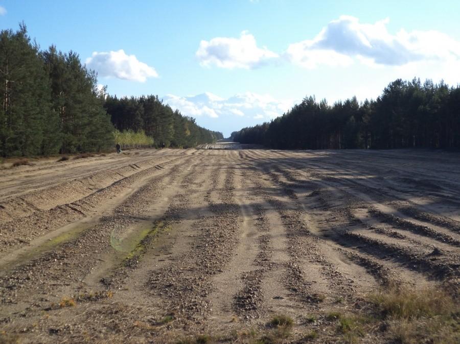 Spektakularna granica poligonu właściwego... i pochód grzybiarzy...