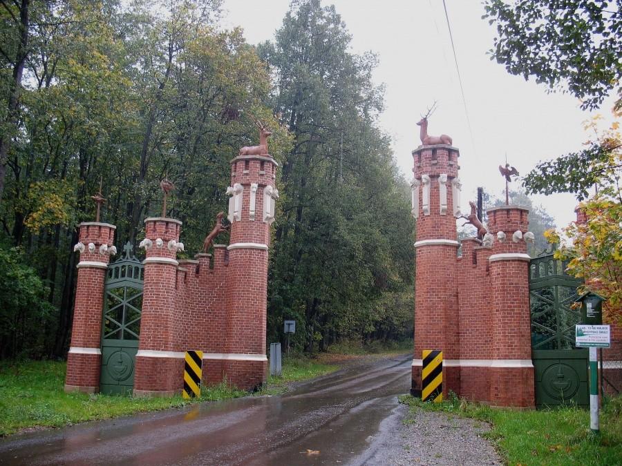 Odyseja Jurajska - dzień II deszczowy, Brama Zwierzyniecka