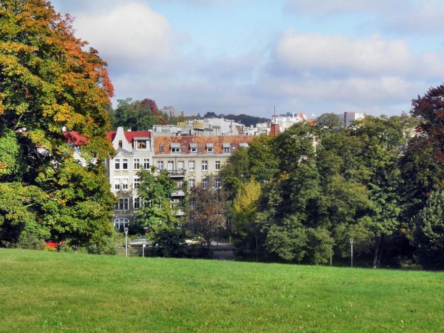 Szczeciński park Kasprowicza - w oddali domy przy ulicy Słowackiego.