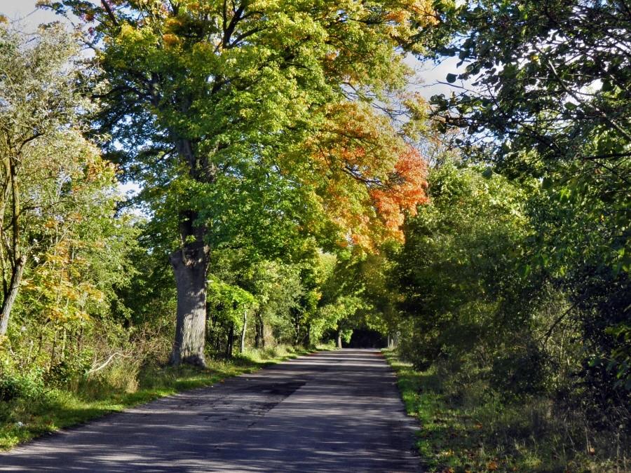 Taka jesień jest bliska memu sercu - w drodze do Blankensee.