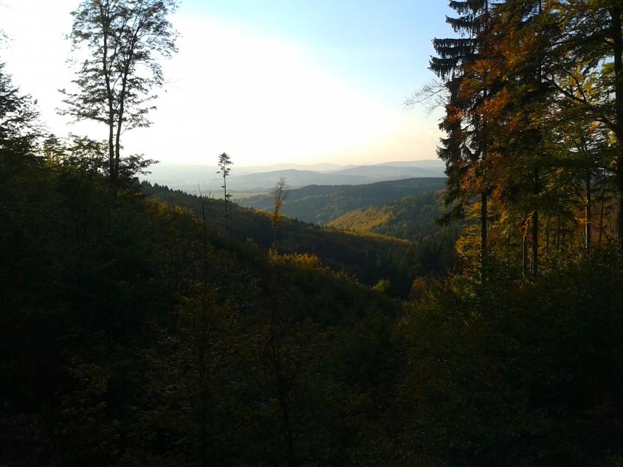 Mały plener w stronę Wojciechowic moje ulubione miejsce na tej trasie.
