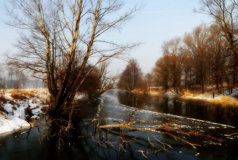 Wisła w Goczałkowicach - zdjęcie archiwalne z lutego 2012