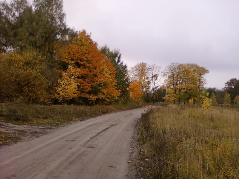 ul. Krajowa