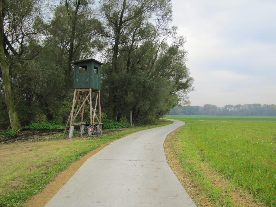 Ścieżka rowerowa nad Odrą
