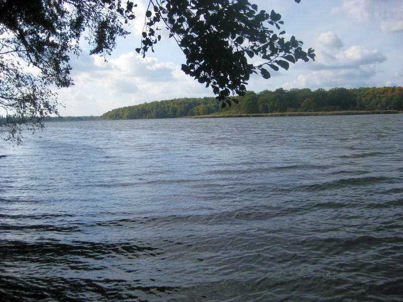 Jezioro Swarzędzkie