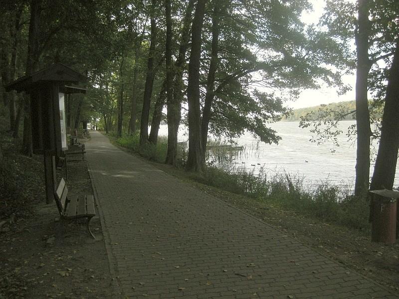 Swarzędz - droga rowerowa przy brzegu Jeziora Swarzędzkiego