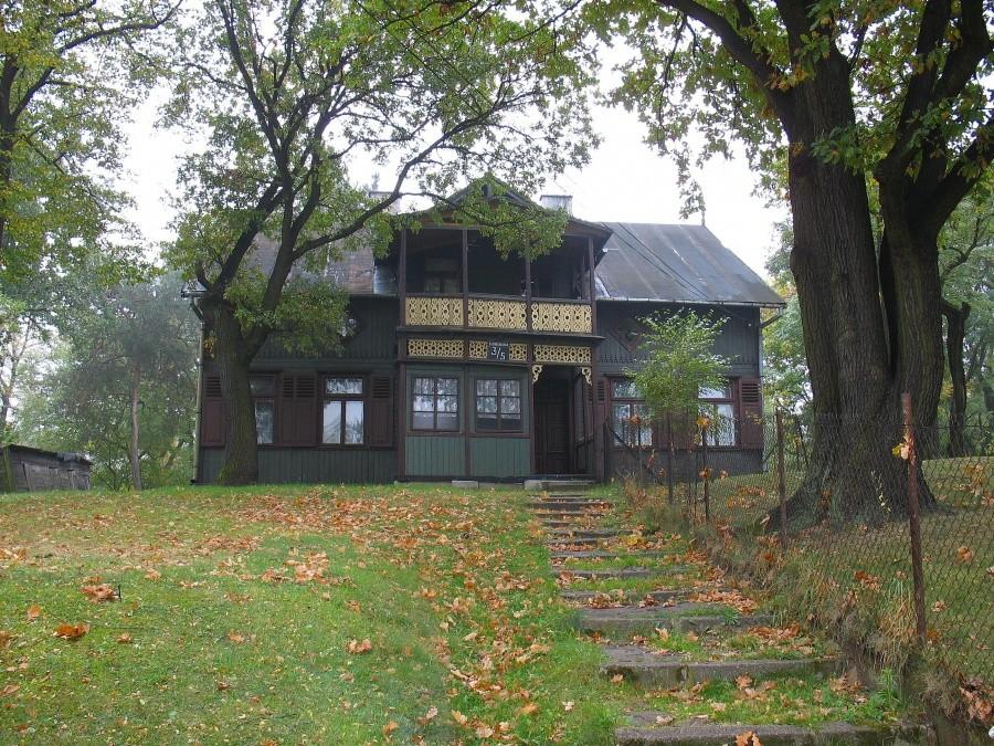 Zielonka letniskowa