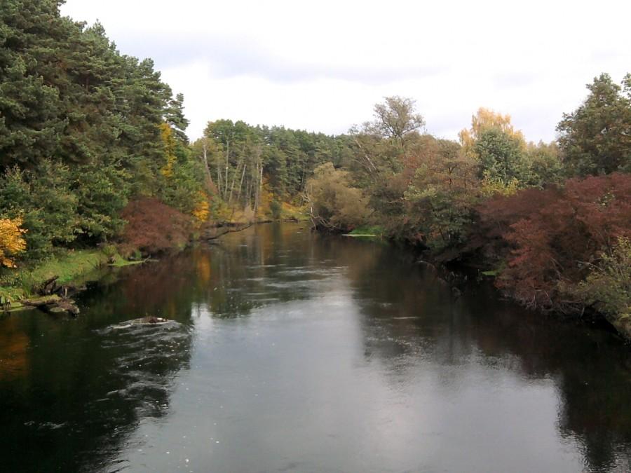 Kolory jesieni nad Brdą