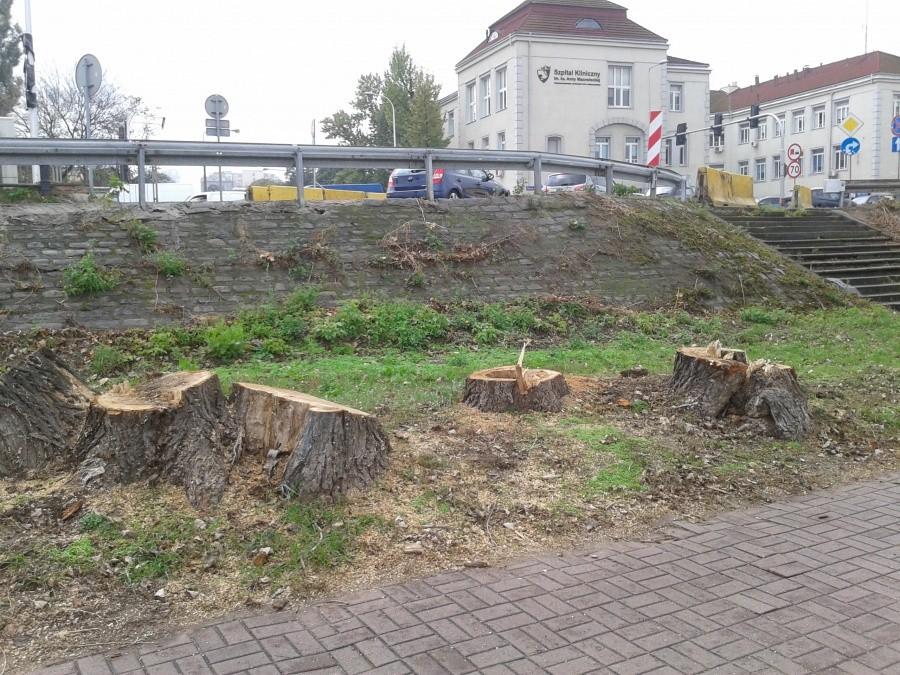 Tu też wycięte drzewa, w głębi Szpoital Połozniczy na Karowej im. Księżnej Anny Mazowieckiej