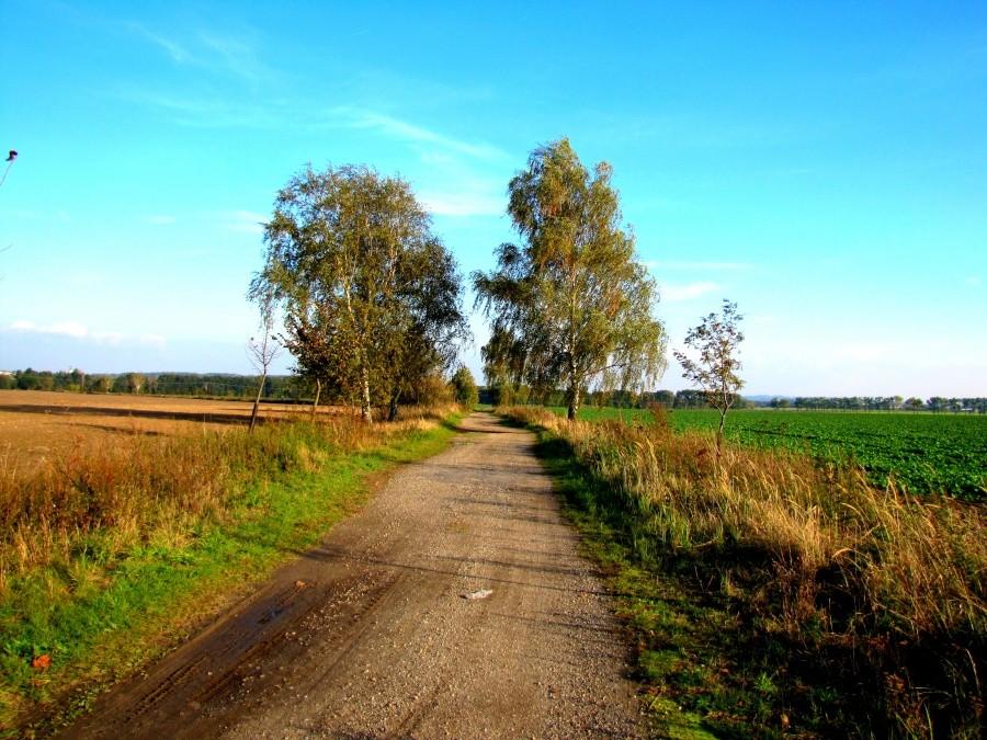 W Bolaticach skręciłem w drogę szutrową i dojechałem do Bohuslavic