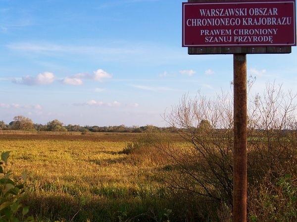 Kazuńskie Łąki