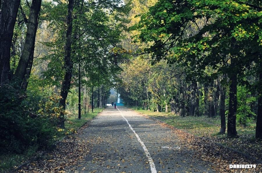 Sosnowiec - Stawiki