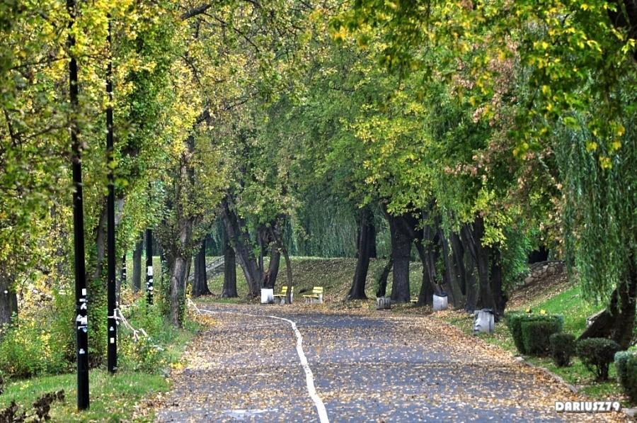 Sosnowiec - Stawiki