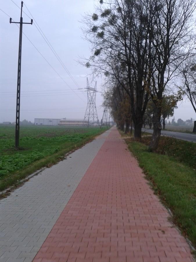 Droga rowerowa ze Strzykuł przez Zielonki Parcele do Babic
