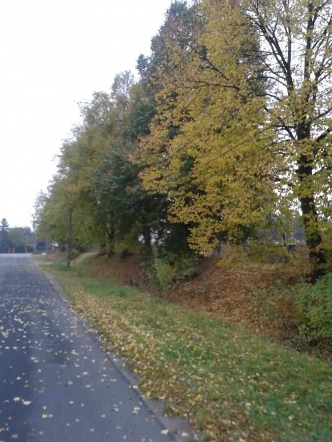 Jesień