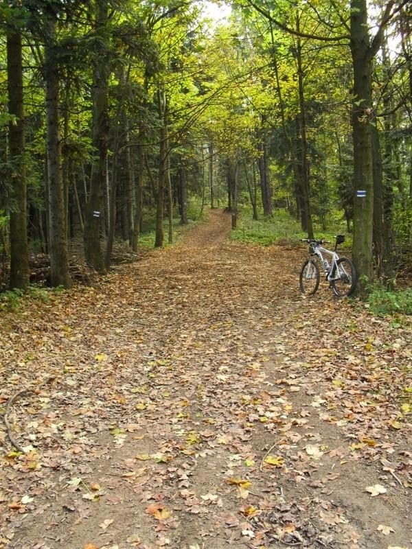 Początek podjazdu niebieskim szlakiem na Rosochatke