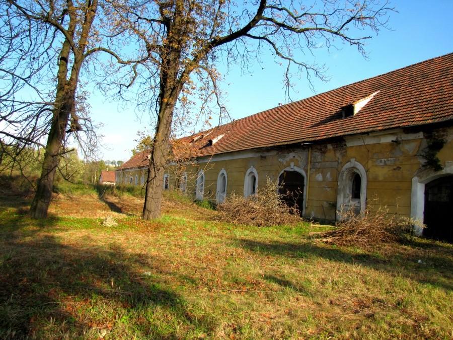 Bażanowice zaniedbany , dom ??