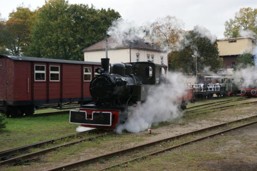 Parowóz wąskotorowy Las49-3343 na stacji w Rudach