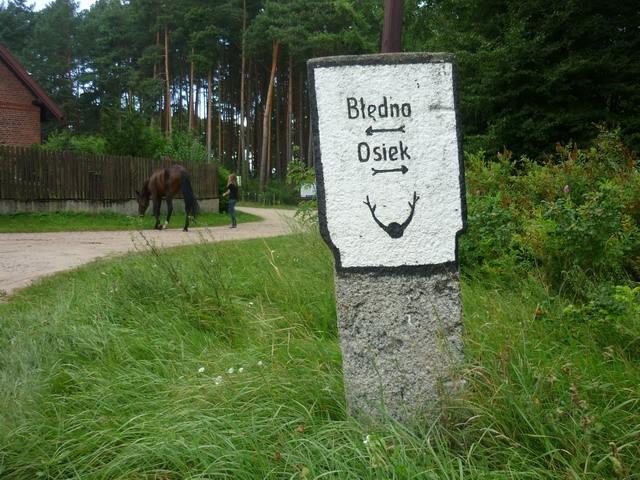Ciekawa forma drogowskazu