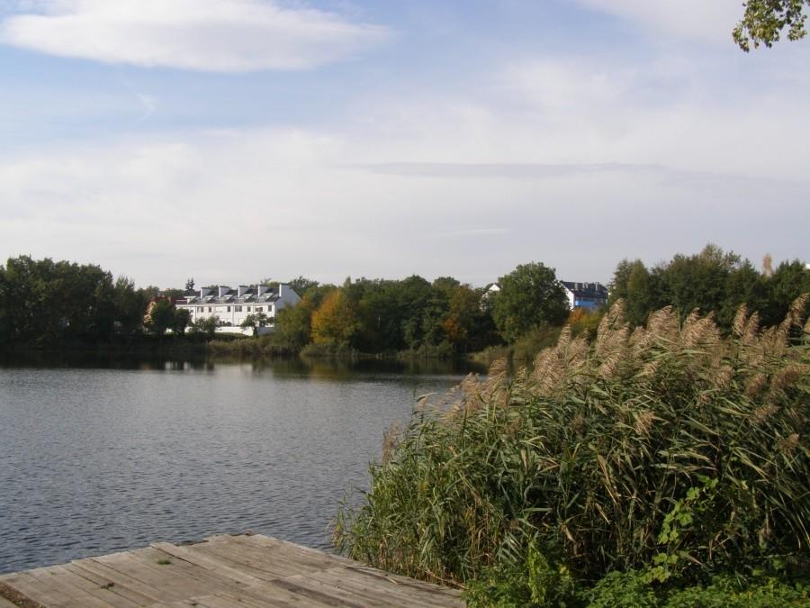 Staw na Stabłowicach
