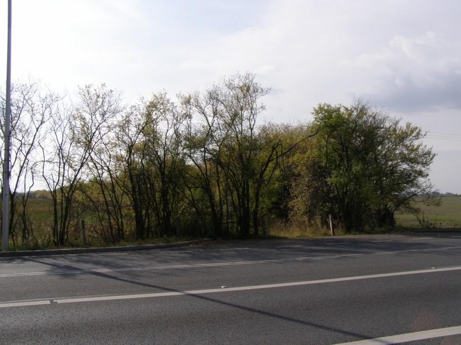 Wjazd na zaoraną drogę do Lutyni