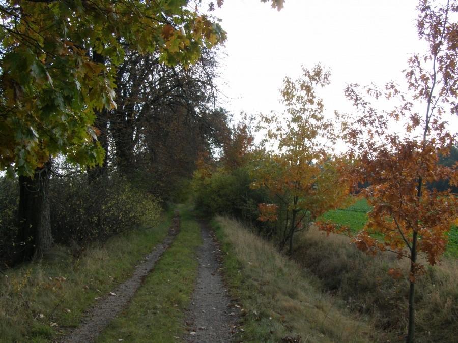 Droga Krępice - Żar