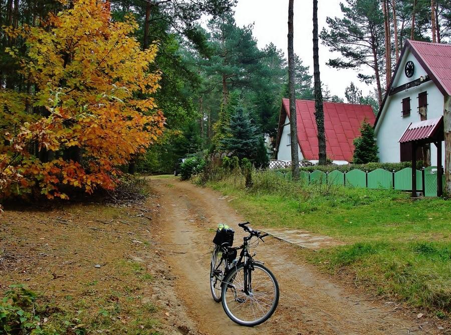 Barwy jesieni.