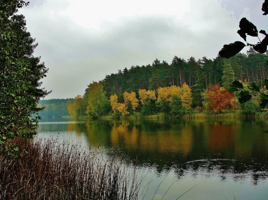 Barwy jesieni.