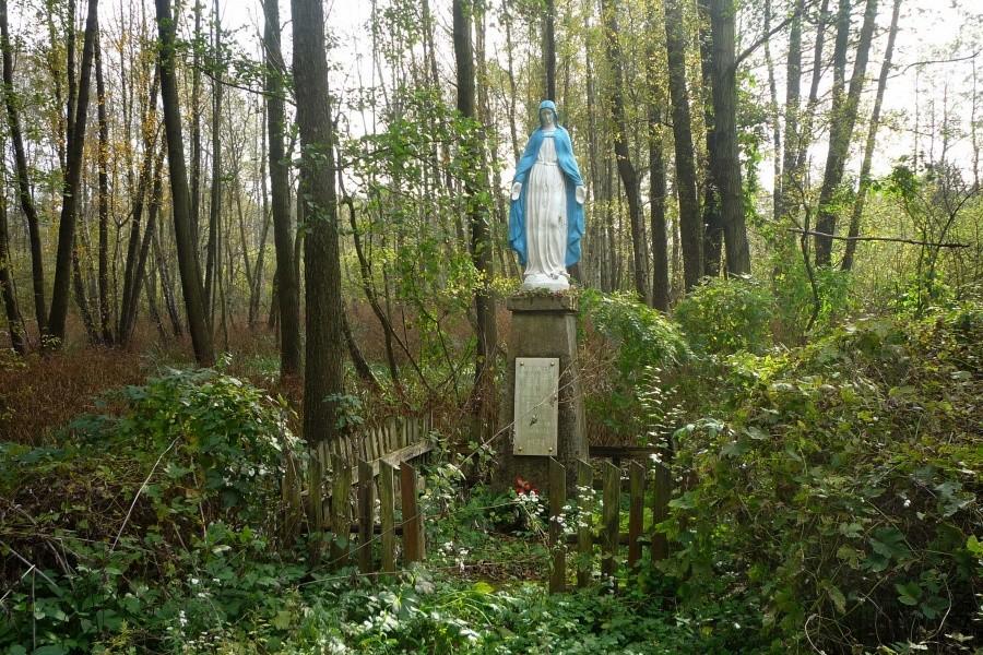 Kapliczka w Lesie- Krzywa Góra