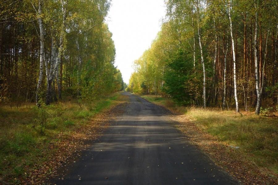 Okolice Famułek Królewskich