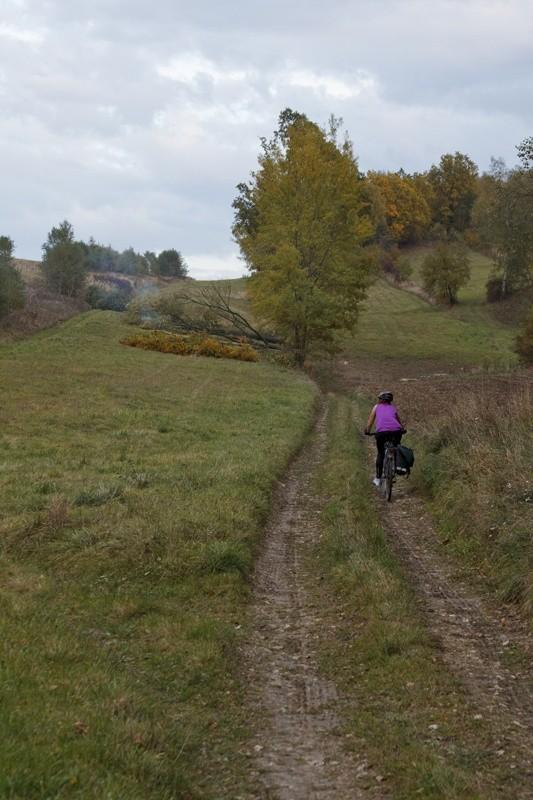 Rudzisko na polnym szlaku