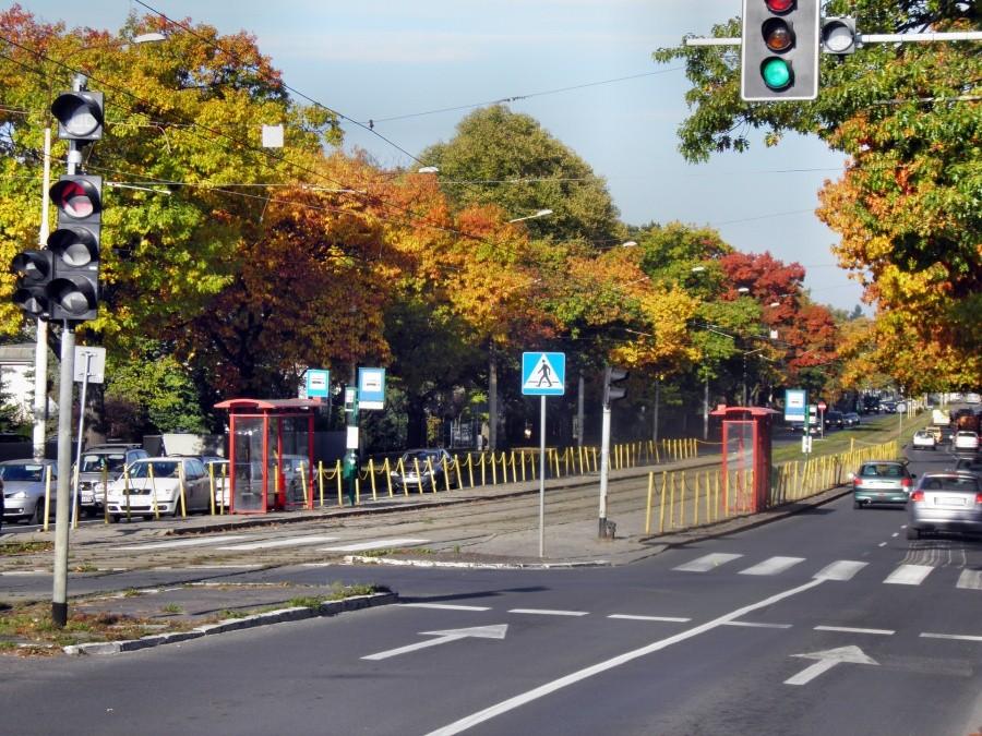 Tak jesiennie prezentowała się dziś rano Aleja Wojska Polskiego.
