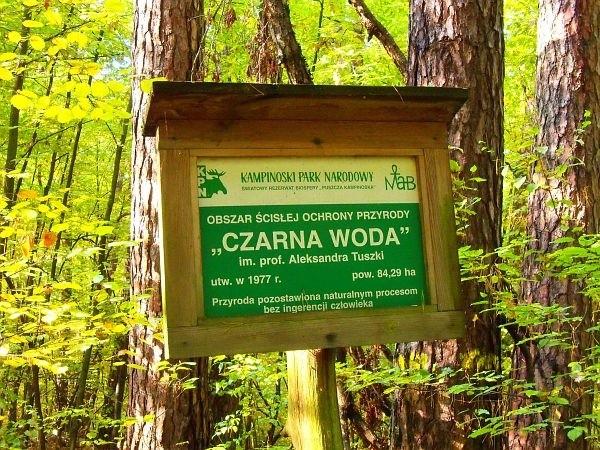 Rezerwat Czarna Woda