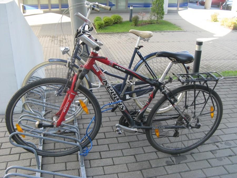 Kellysek i piękny rower
