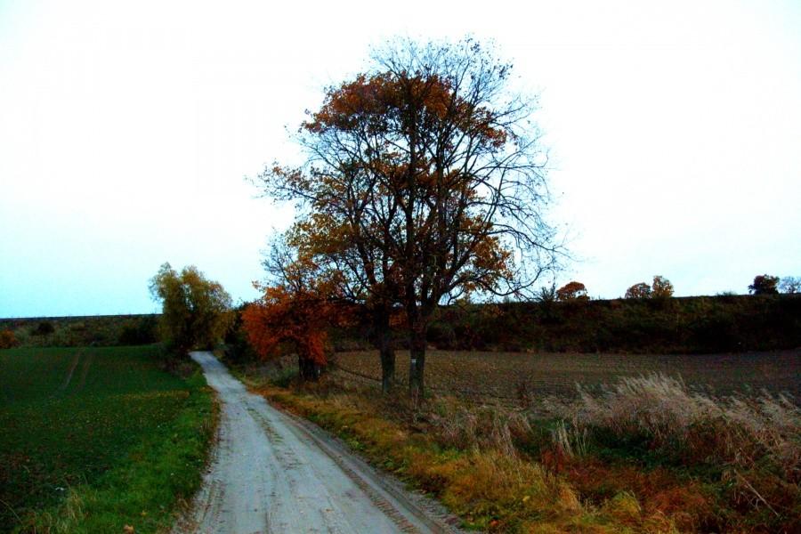 Jesień za miastem