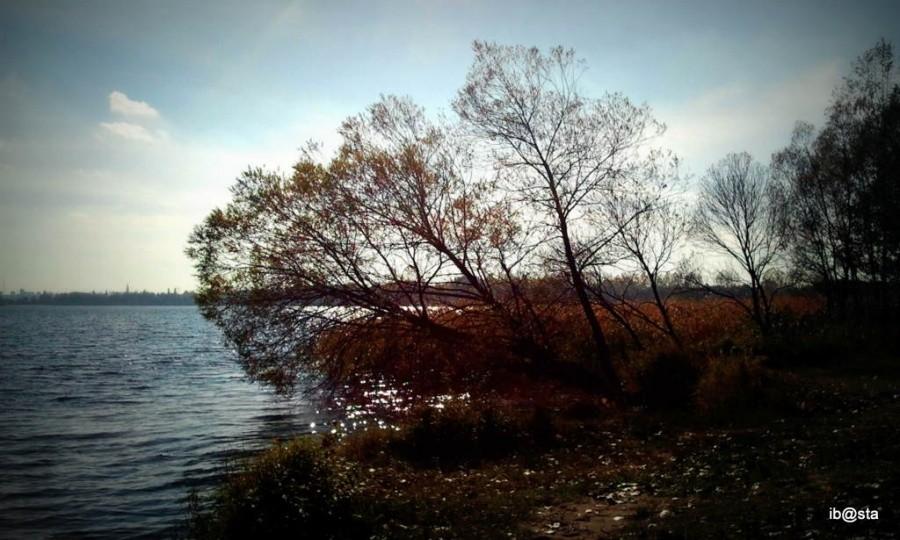 i fotka w drugą stronę - pod słońce