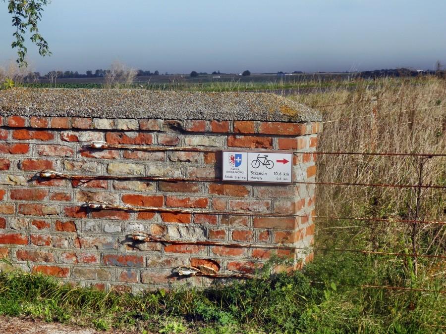 Widok ze Szlaku Bielika, tuż za Moczyłami.