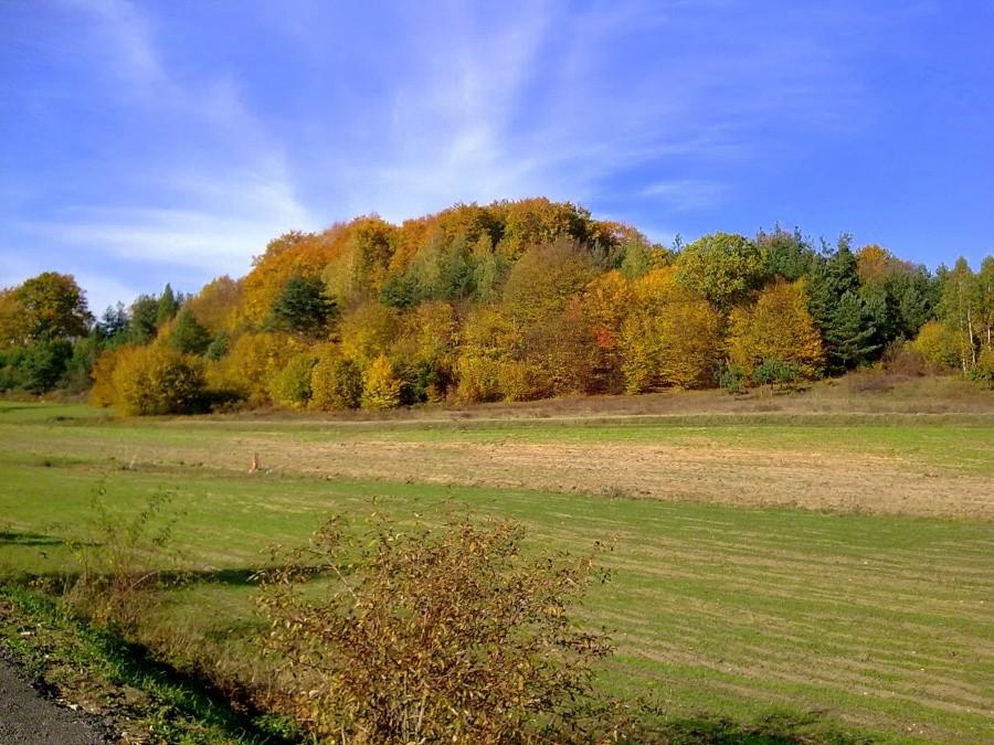 Widok z okolic Siedlca.