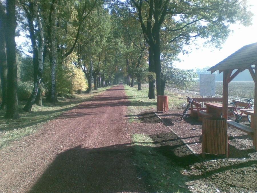 W drodze do Pawłowic