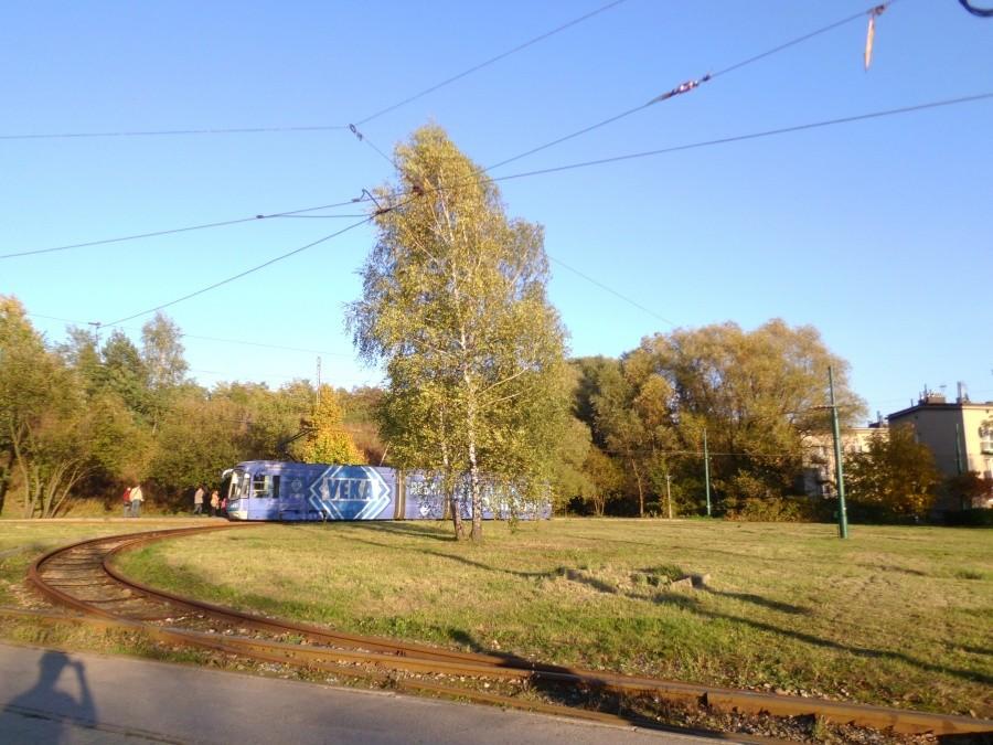 Brynów pętla