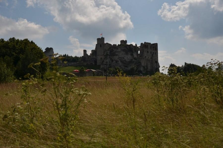 originał zdjęcia bez jakiejkolwiek obróbki