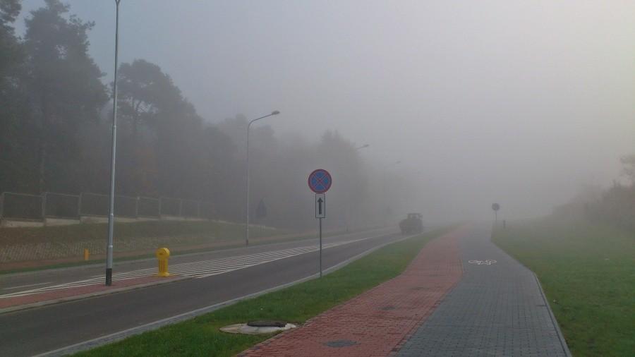 mgły z rana na Sosnowej