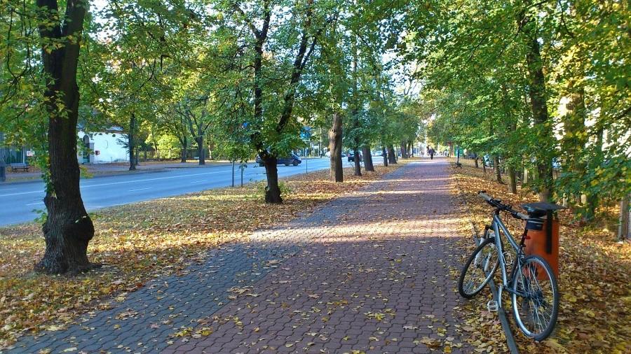 partyzantów jesienią
