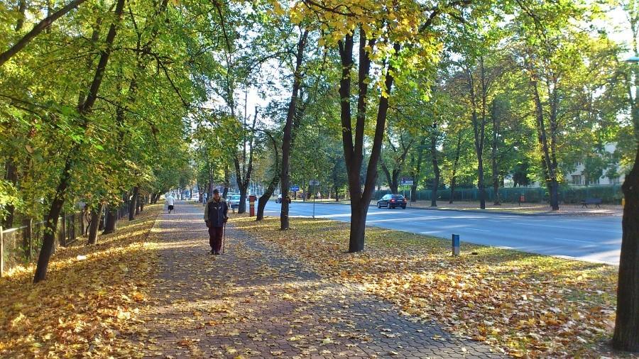 Partyzantów jesienia