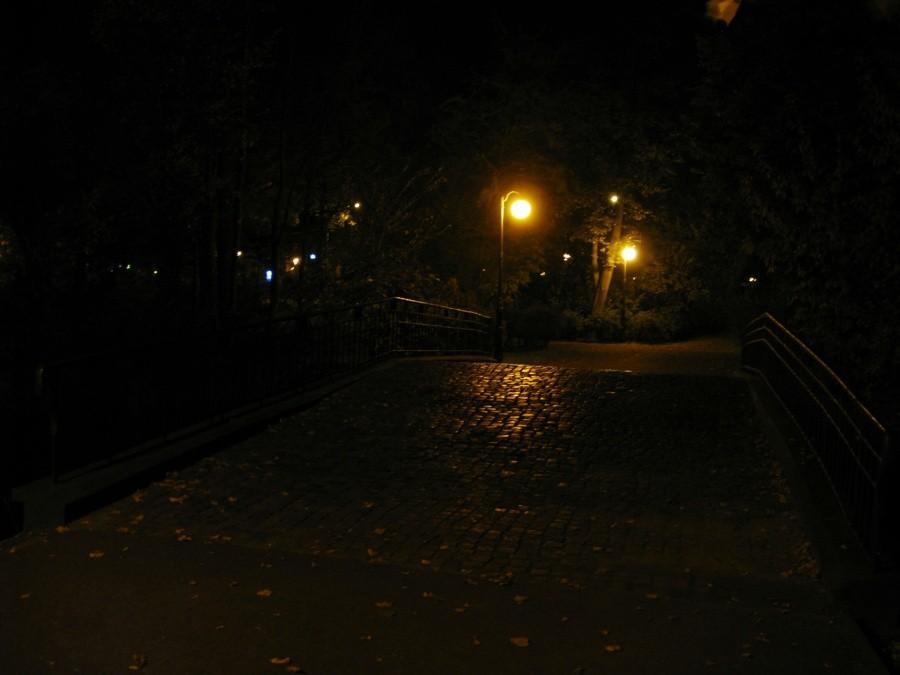 Park Sołacki nocą