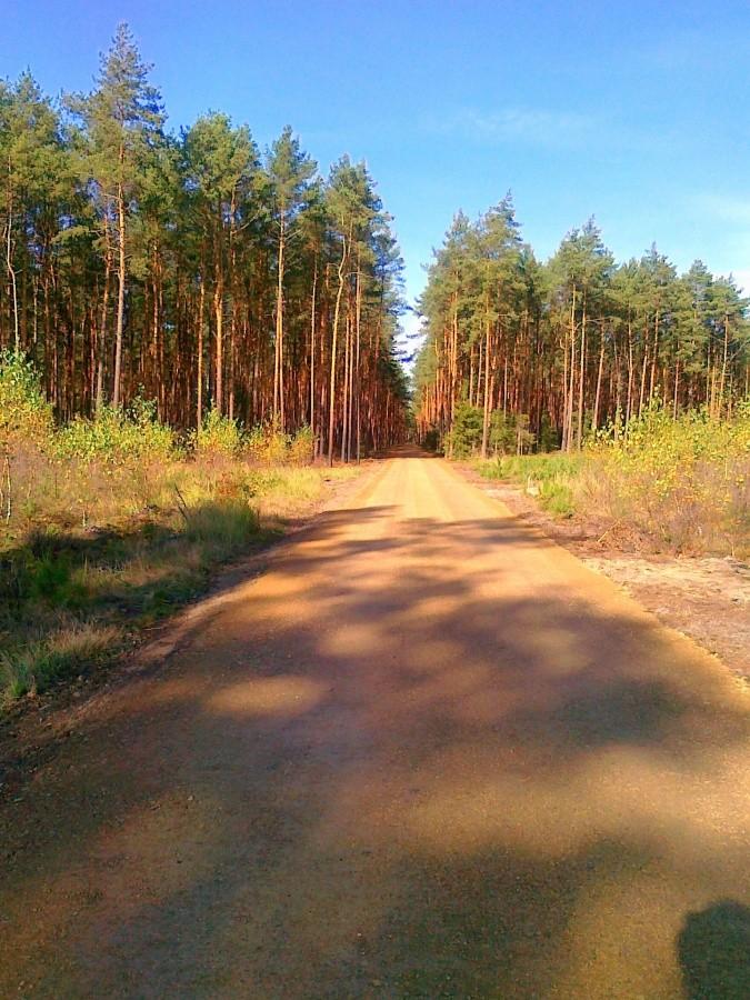 Niebieski rowerowy w kierunku Poraja.