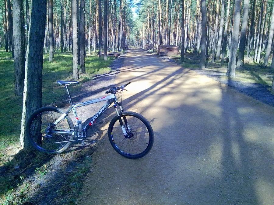 Goodman na nowej, szutrowej rowerostradzie.