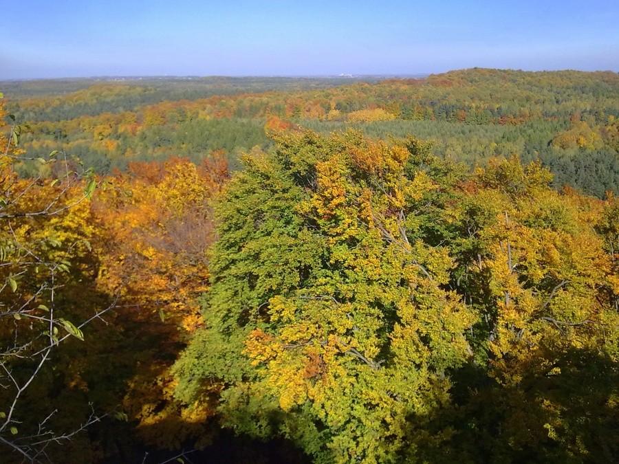 Widok z Zielonej Góry